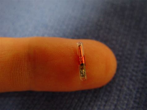 rfid chip goes in which hand|rfid implants in the hand.